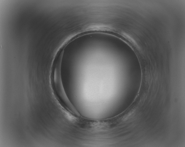 X0000072971277200607211214