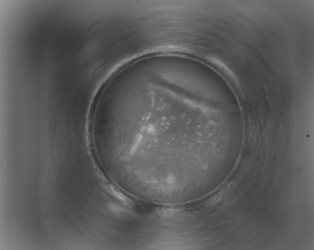 X0000072971278200607211214