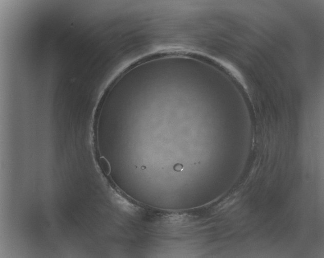 X0000072971279200607211214