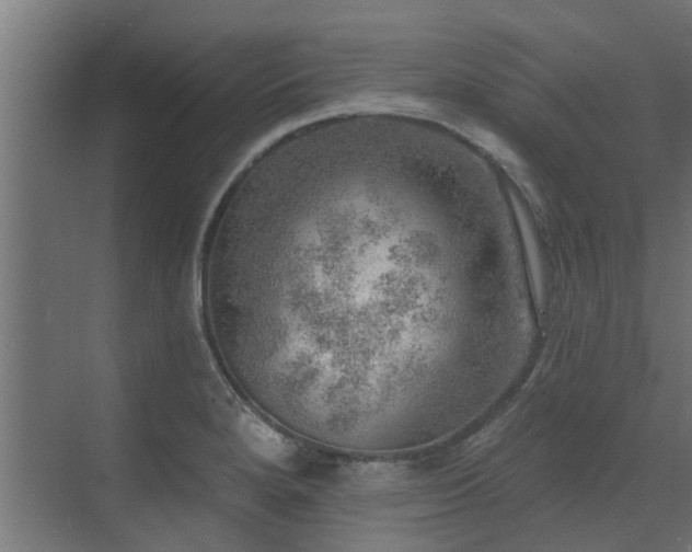 X0000072971280200607211214