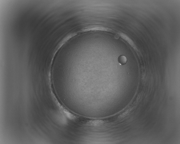 X0000072971282200607211214