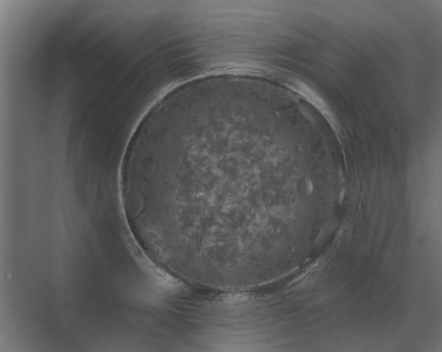 X0000072971283200607211214