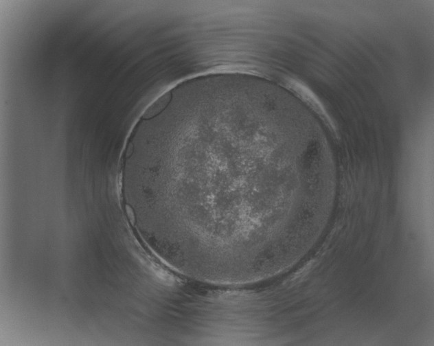 X0000072971284200607211214