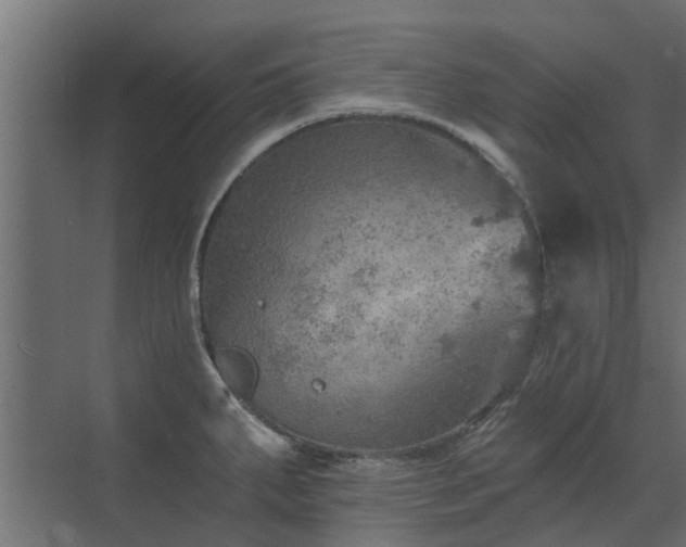 X0000072971287200607211214