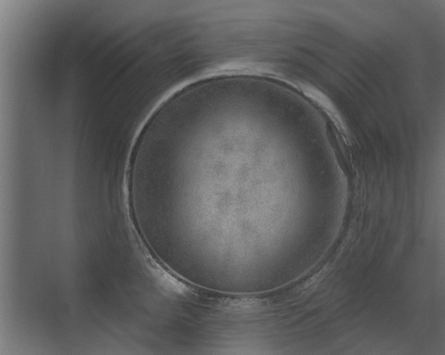 X0000072971288200607211214