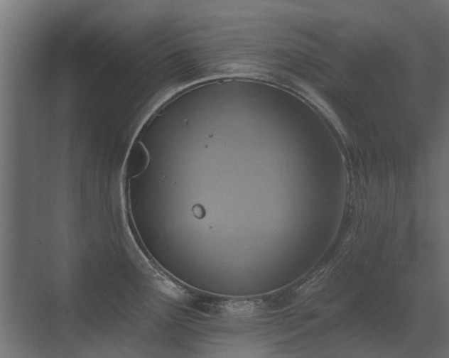 X0000072971291200607211213