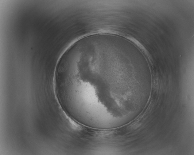 X0000072971294200607211213