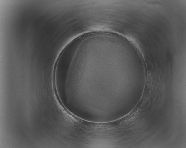 X0000072971295200607211213