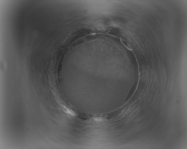 X0000072971297200607211213