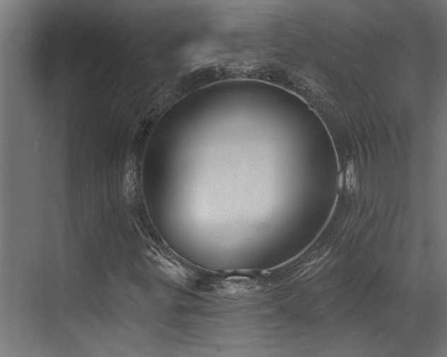 X0000072971299200607211213