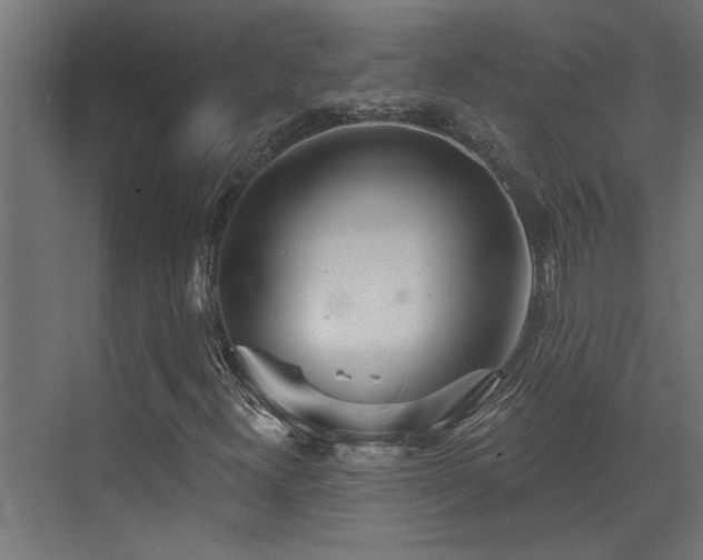 X0000072971300200607211213