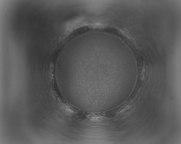 X0000072971301200607211213