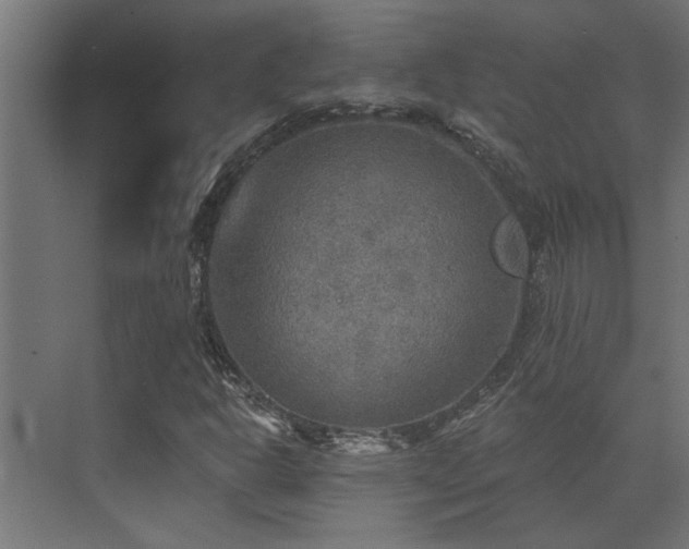 X0000072971302200607211213