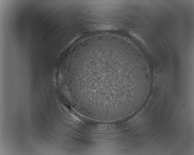 X0000072971305200607211213