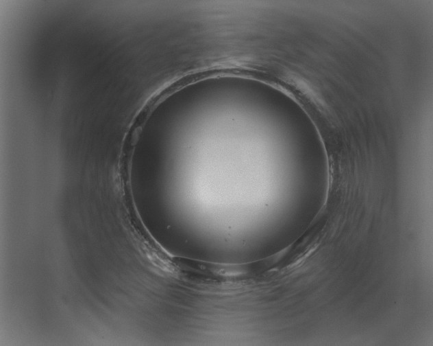 X0000072971308200607211213