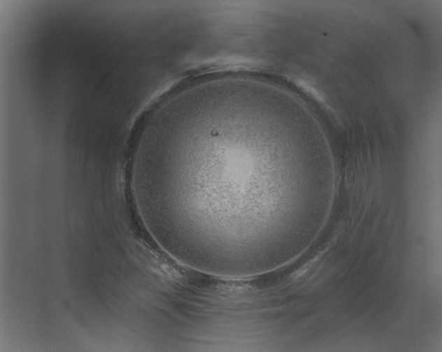 X0000072971309200607211213