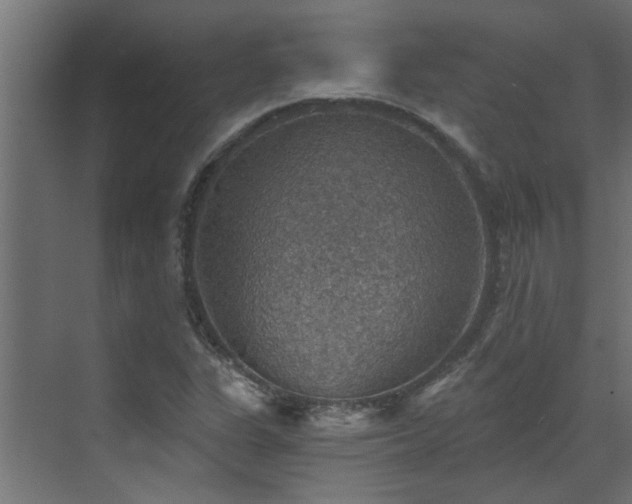 X0000072971311200607211213