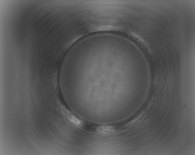 X0000072971313200607211213