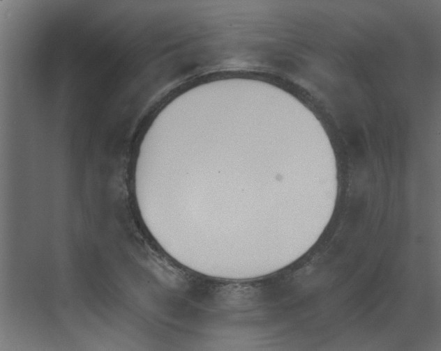 X0000072971314200607211213