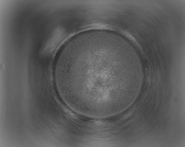 X0000072971318200607211213