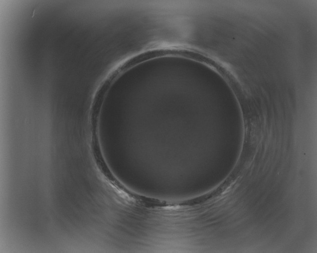 X0000072971319200607211213