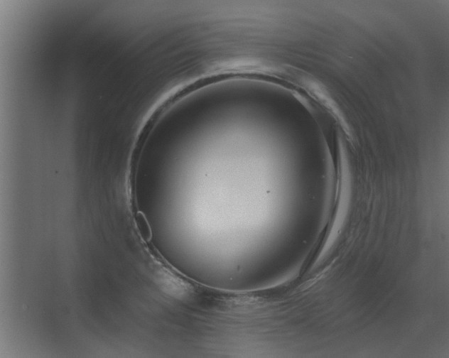 X0000072971328200607211213