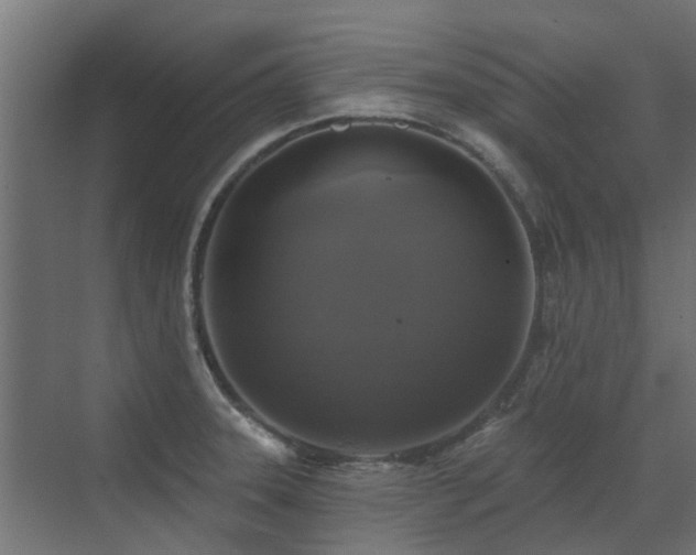 X0000072971331200607211213