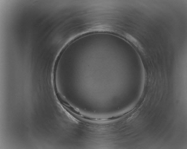 X0000072971334200607211213