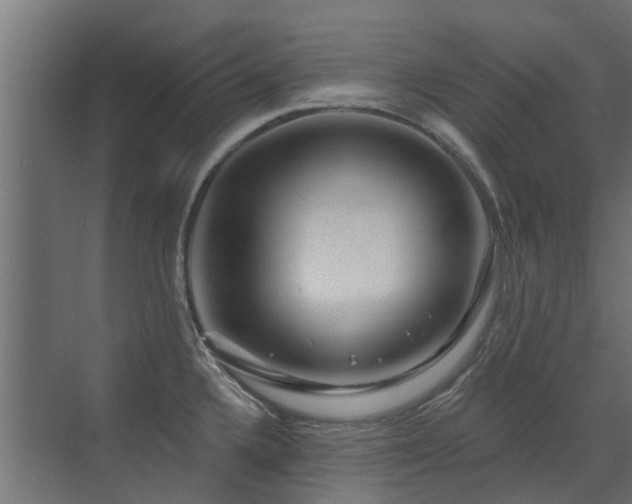 X0000072971336200607211213