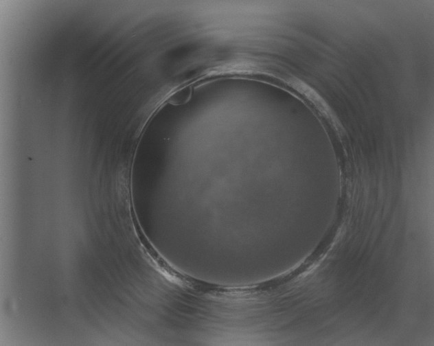 X0000072971337200607211213