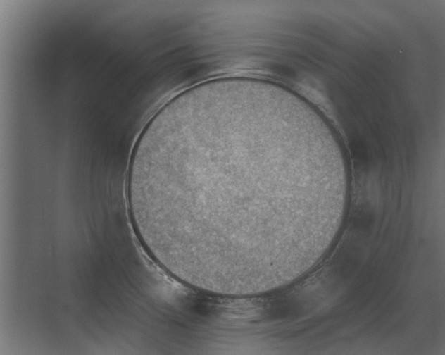 X0000072971338200607211213