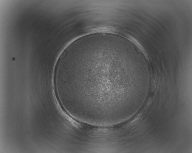 X0000072971339200607211213