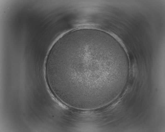 X0000072971341200607211213