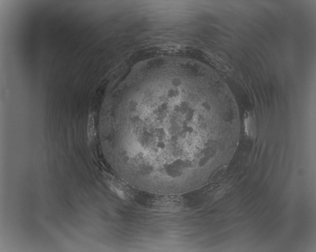 X0000072971347200607211213