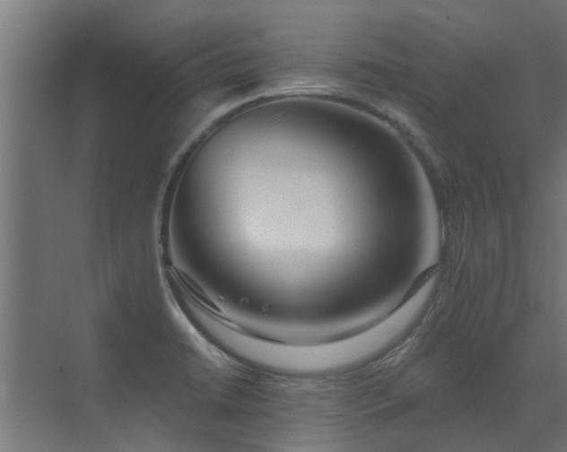 X0000072971422200607211211