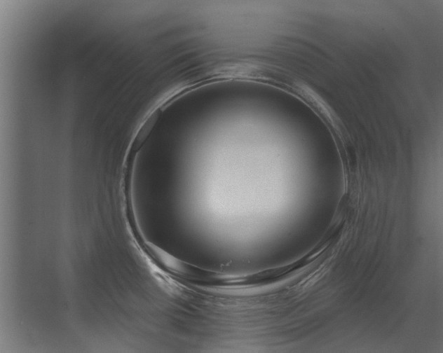 X0000072971434200607211212