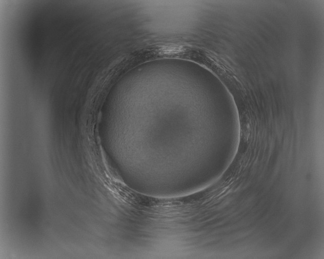 X0000072971441200607211211