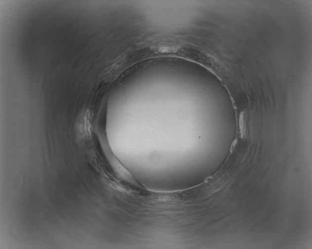 X0000072971443200607211211