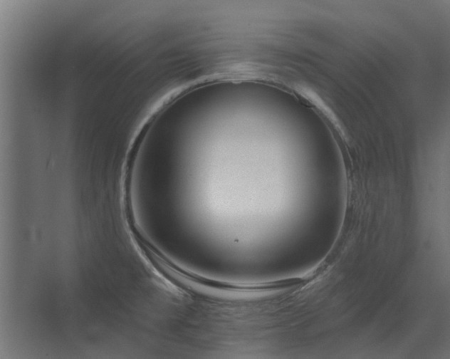 X0000072971477200607211210