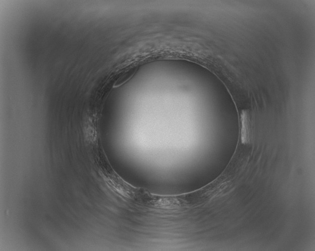 X0000072971491200607211209