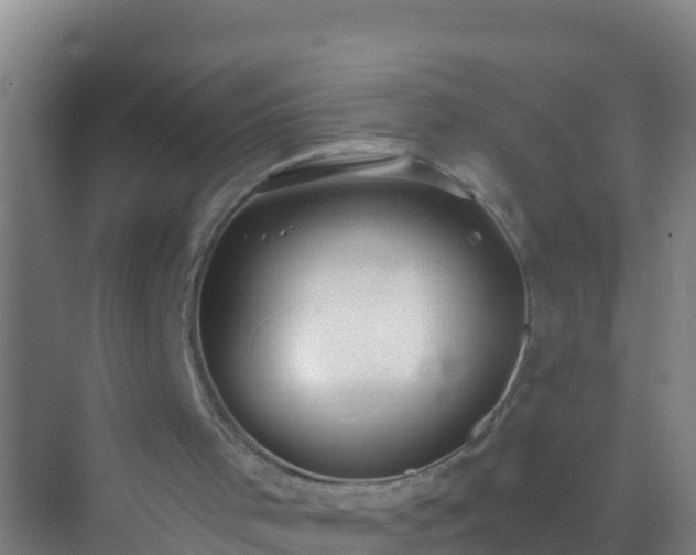 X0000072970001200607282334