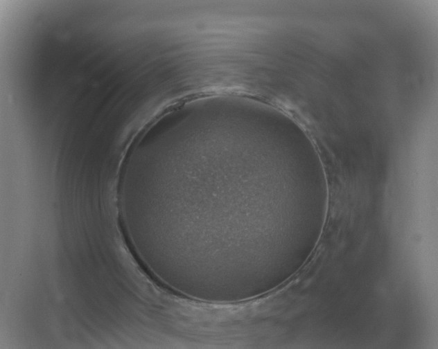 X0000072970002200607282334