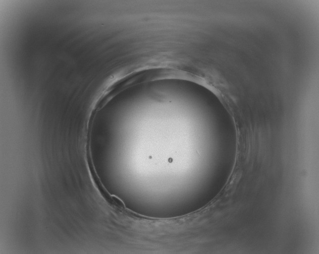 X0000072970003200607282334