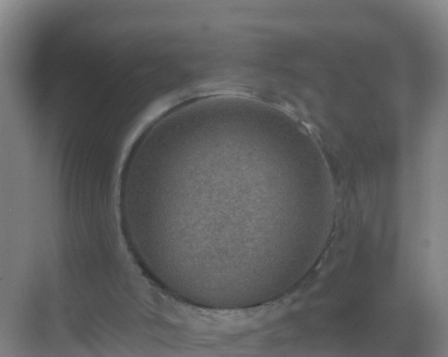 X0000072970006200607282334