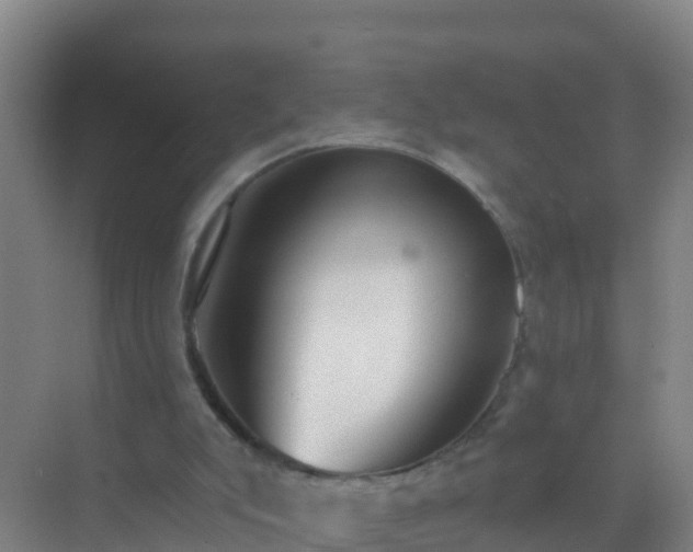 X0000072970007200607282334