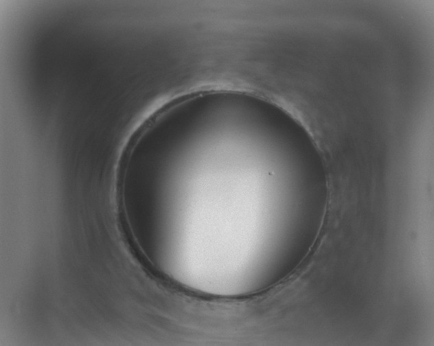 X0000072970008200607282334