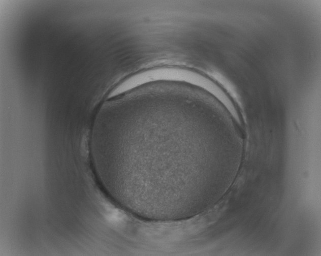 X0000072970009200607282334