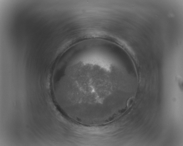 X0000072970010200607282334