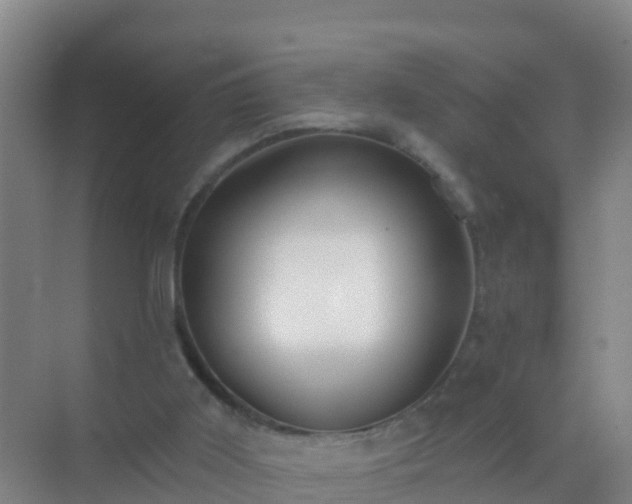 X0000072970011200607282334