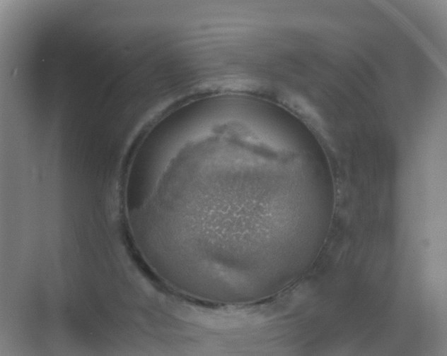 X0000072970012200607282334